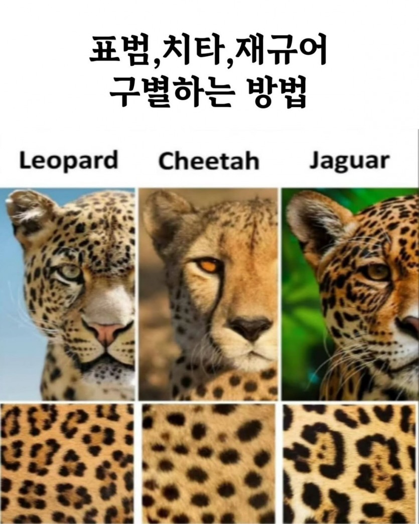 a2491376a8e7dc323aff999341f24136_1744384679_3405.jpg