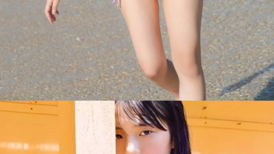 신입그라~