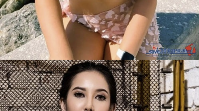 차이나는 동서양 미드