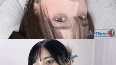 아름다움이 잔뜩
